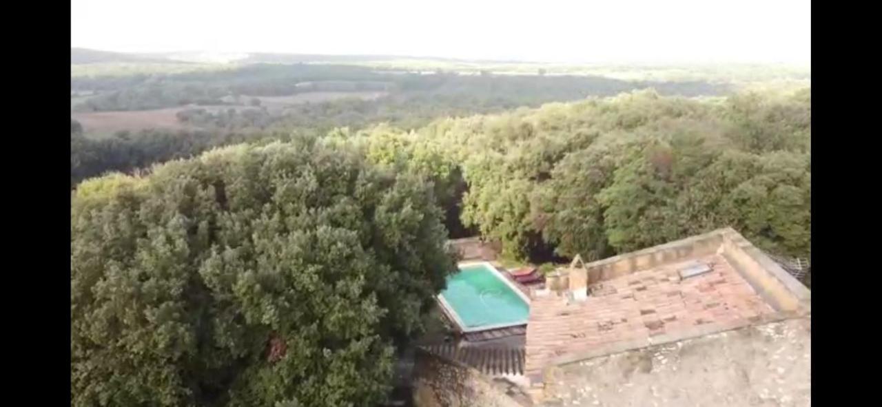 Studio Gard Calme Et Nature Russan Exteriör bild
