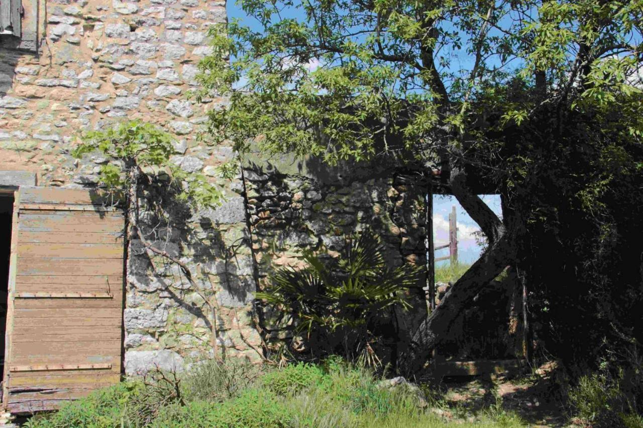 Studio Gard Calme Et Nature Russan Exteriör bild
