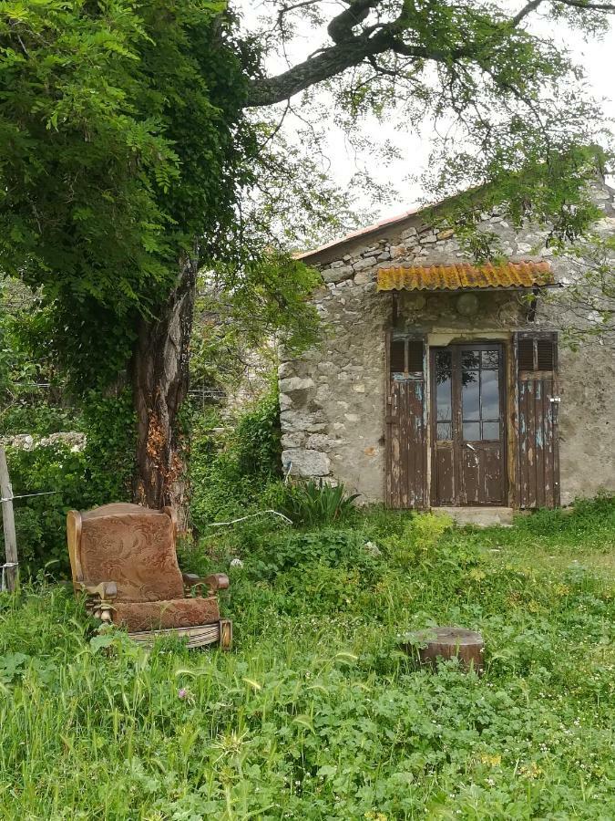 Studio Gard Calme Et Nature Russan Exteriör bild
