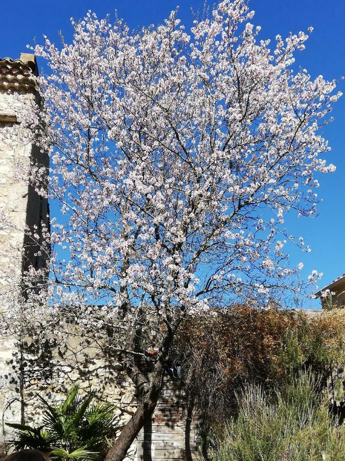 Studio Gard Calme Et Nature Russan Exteriör bild